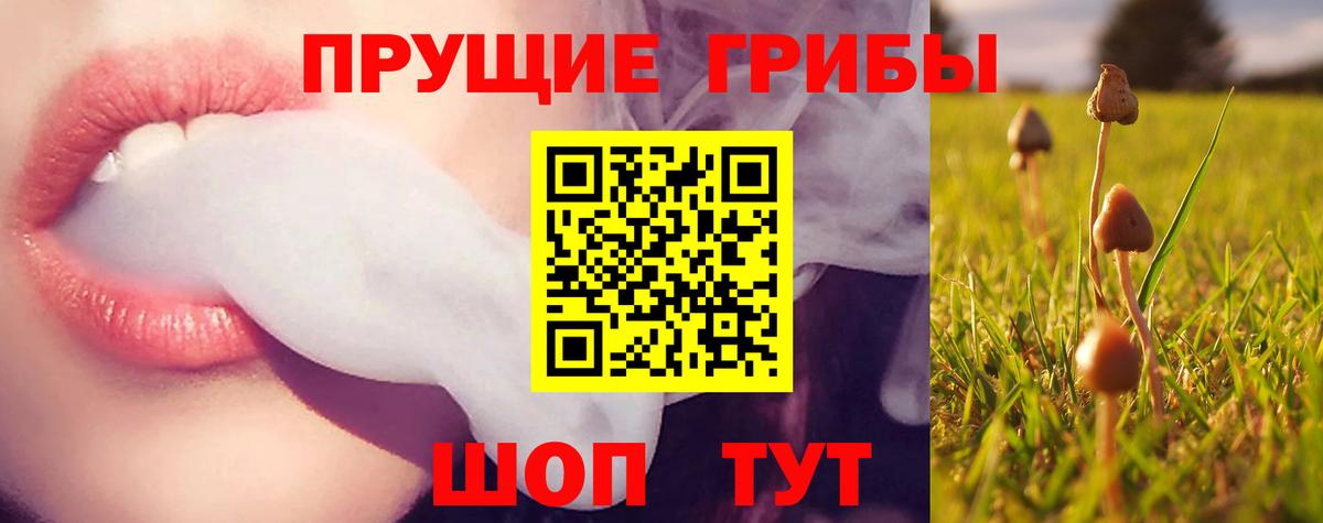 магазин    Вход с VPN  Клин  Галлюциногенные грибы Psilocybine cubensis 